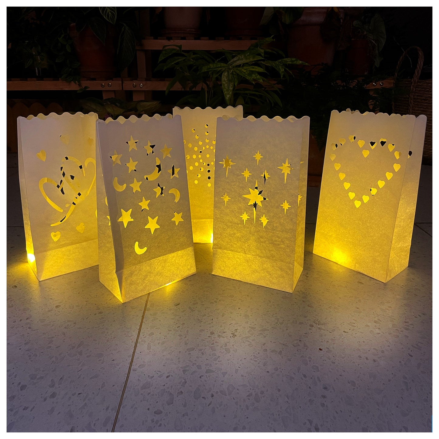 50pc Assorted Tall Luminaria bags with LED lights, perfect for thanksgiving decorations and christmas decorations