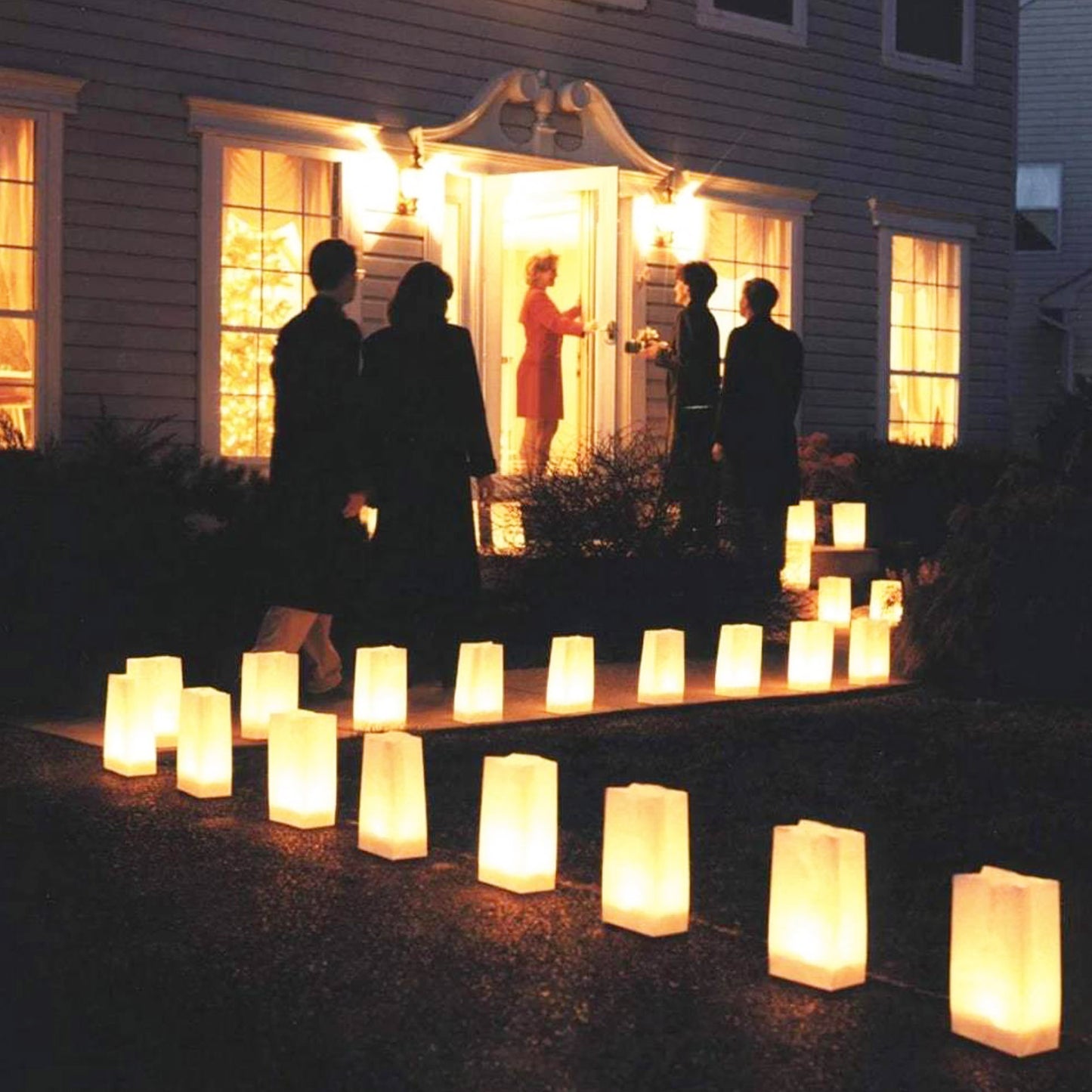 50pc Assorted Tall Luminaria bags with LED lights, perfect for thanksgiving decorations and christmas decorations